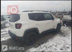 جيب رينيجيد